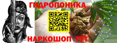 дурь Краснознаменск