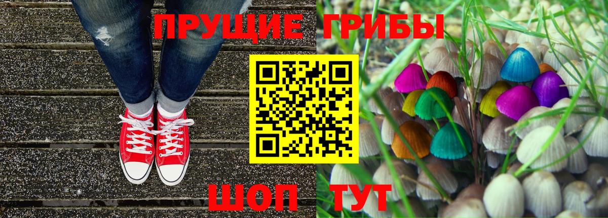 Елабуга  Галлюциногенные грибы Psilocybine cubensis  Вход с VPN 