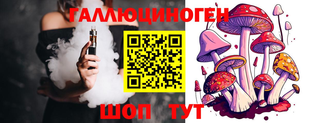 Псилоцибиновые грибы Psilocybine cubensis Елабуга